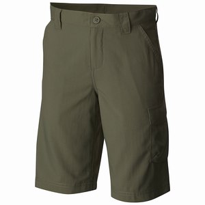 Columbia Silver Ridge™ III Short Pojkar Gröna (QIRHN5470)